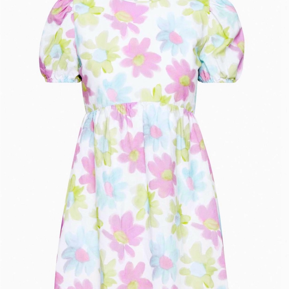 Aritzia dress